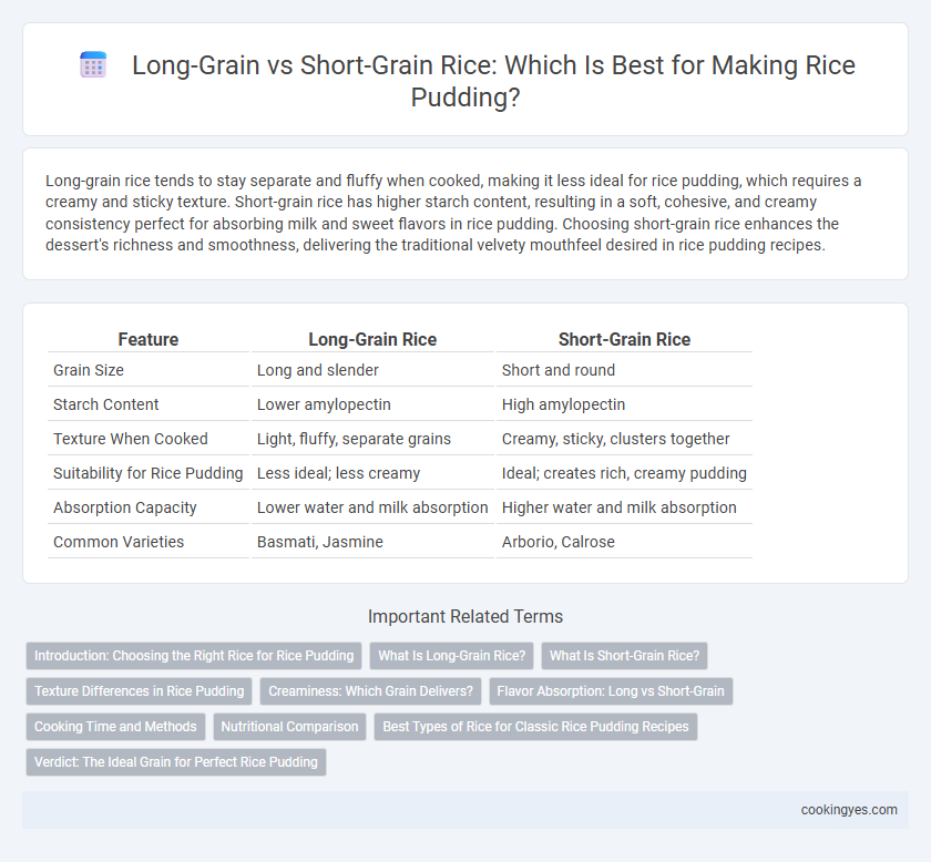 Long-Grain vs Short-Grain Rice: Which Is Best for Making Rice Pudding?