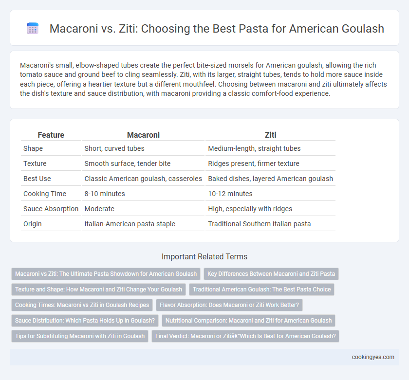 Macaroni vs. Ziti: Choosing the Best Pasta for American Goulash