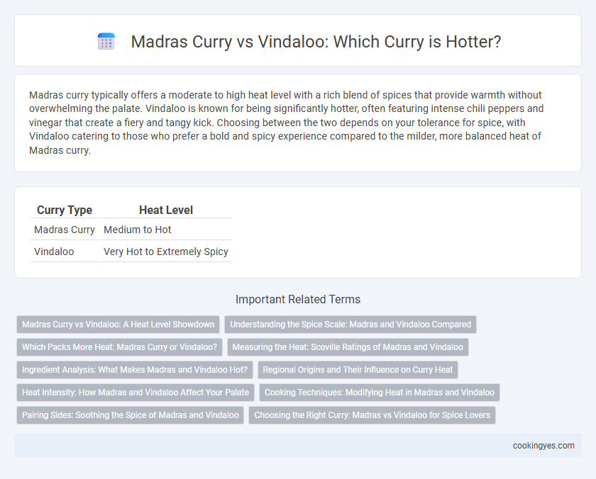 Madras Curry vs Vindaloo: Which Curry is Hotter?