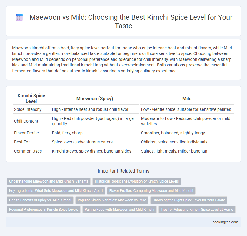 Maewoon vs Mild: Choosing the Best Kimchi Spice Level for Your Taste