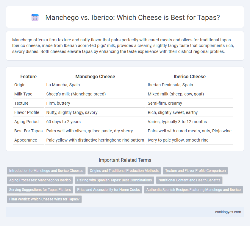 Manchego vs. Iberico: Which Cheese is Best for Tapas?