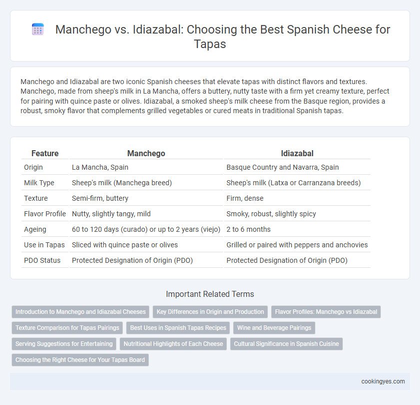 Manchego vs. Idiazabal: Choosing the Best Spanish Cheese for Tapas
