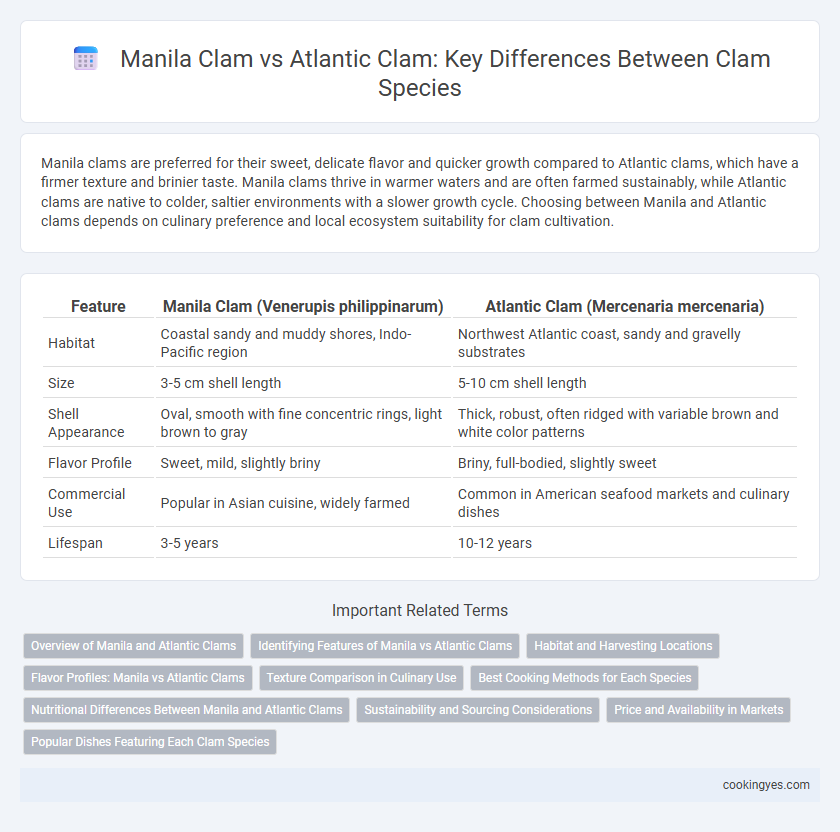 Manila Clam vs Atlantic Clam: Key Differences Between Clam Species