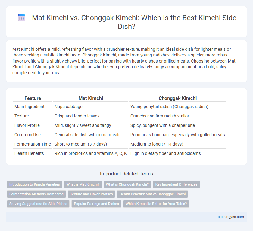 Mat Kimchi vs. Chonggak Kimchi: Which Is the Best Kimchi Side Dish?