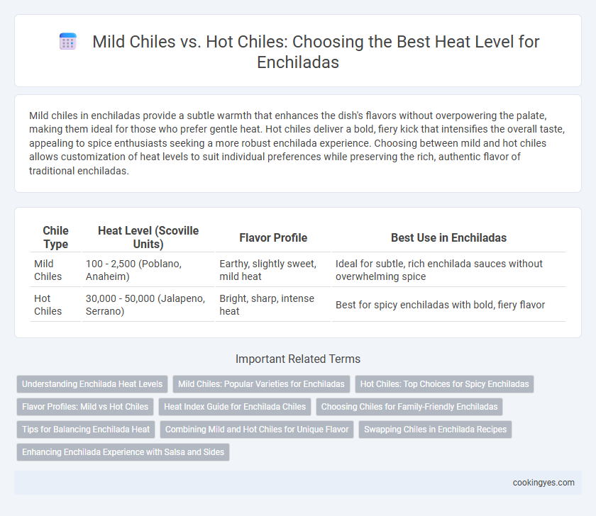 Mild Chiles vs. Hot Chiles: Choosing the Best Heat Level for Enchiladas