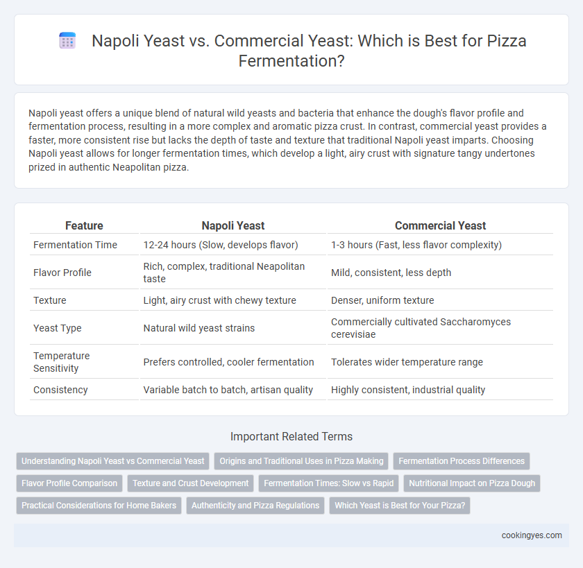 Napoli Yeast vs. Commercial Yeast: Which is Best for Pizza Fermentation?