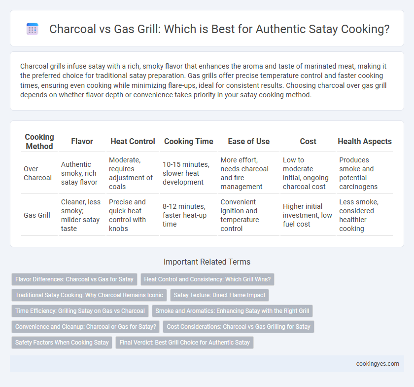 Charcoal vs Gas Grill: Which is Best for Authentic Satay Cooking?