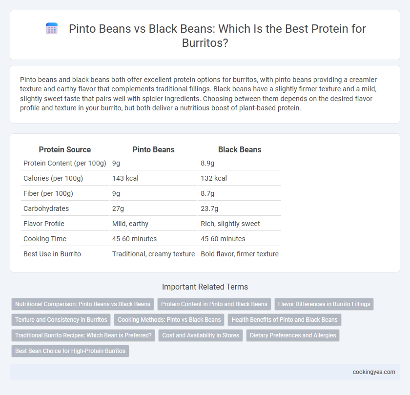 Pinto Beans vs Black Beans: Which Is the Best Protein for Burritos?