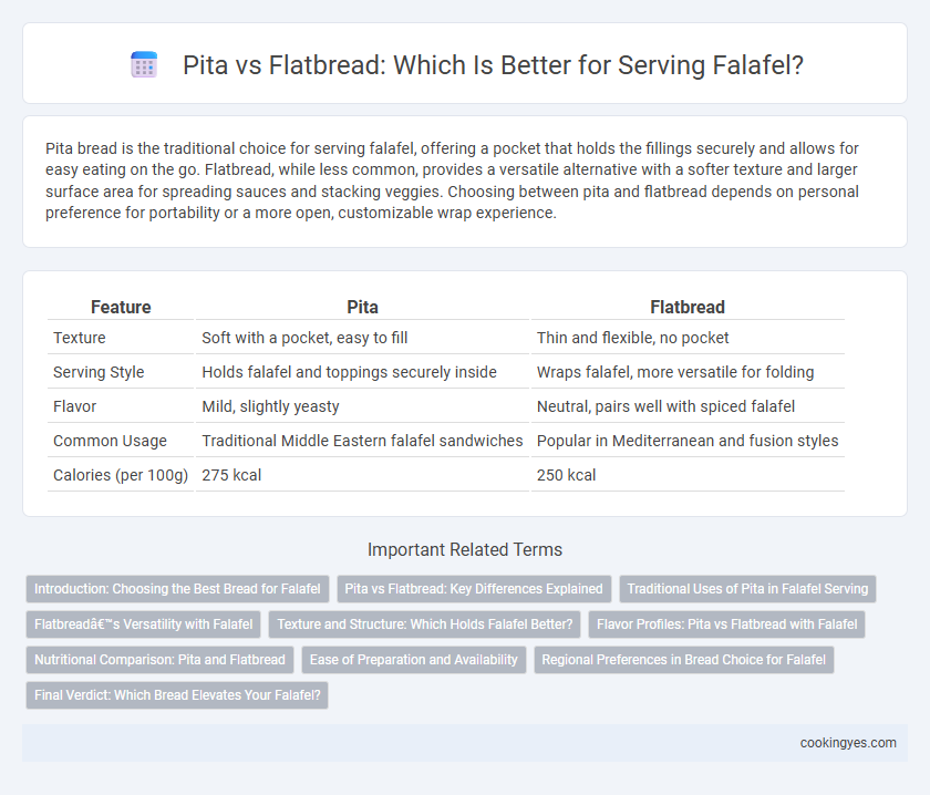 Pita vs Flatbread: Which Is Better for Serving Falafel?