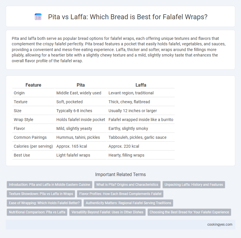 Pita vs Laffa: Which Bread is Best for Falafel Wraps?