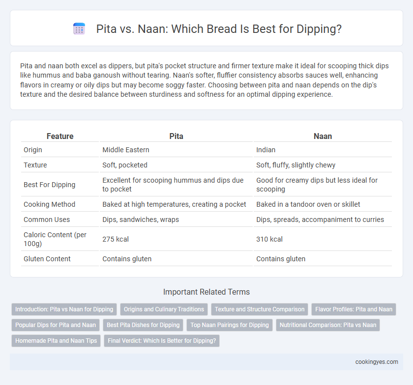 Pita vs. Naan: Which Bread Is Best for Dipping?
