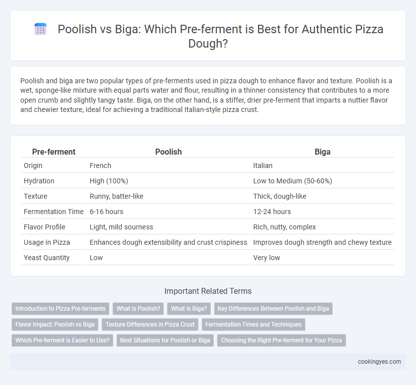 Poolish vs Biga: Which Pre-ferment is Best for Authentic Pizza Dough?