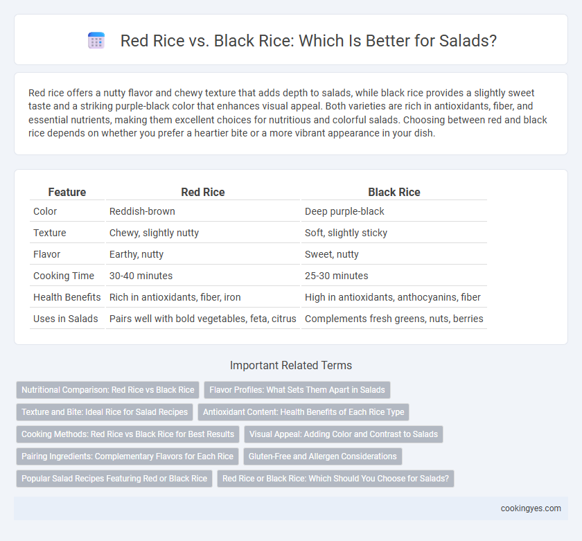 Red Rice vs. Black Rice: Which Is Better for Salads?