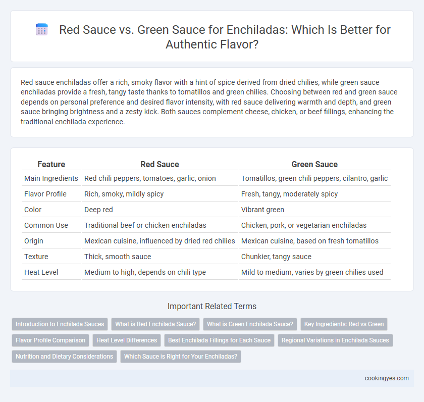 Red Sauce vs. Green Sauce for Enchiladas: Which Is Better for Authentic Flavor?