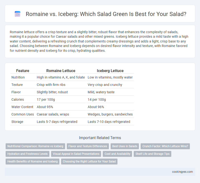 Romaine vs. Iceberg: Which Salad Green Is Best for Your Salad?