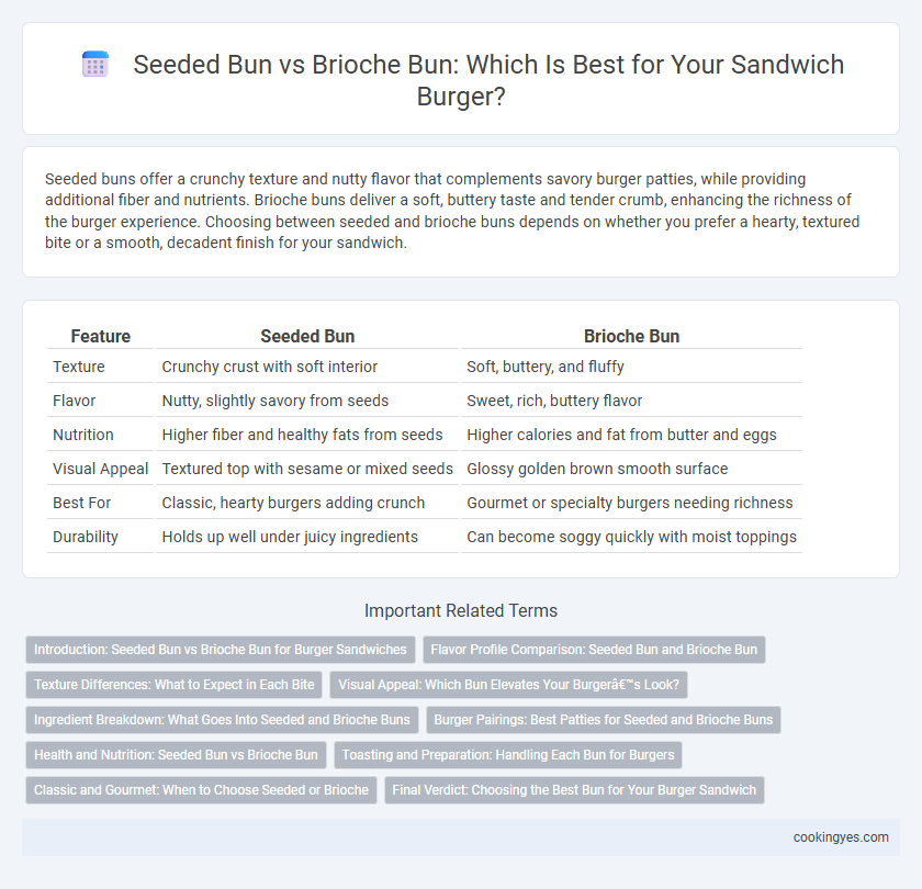 Seeded Bun vs Brioche Bun: Which Is Best for Your Sandwich Burger?