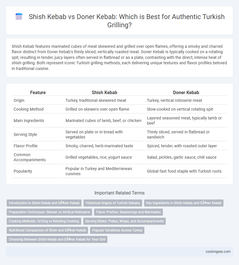 Shish Kebab vs Doner Kebab: Which is Best for Authentic Turkish Grilling?