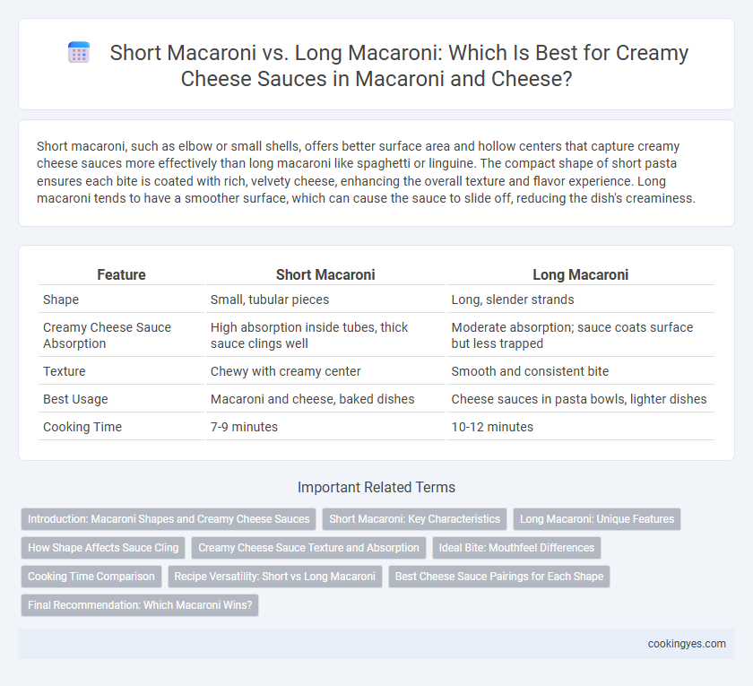 Short Macaroni vs. Long Macaroni: Which Is Best for Creamy Cheese Sauces in Macaroni and Cheese?