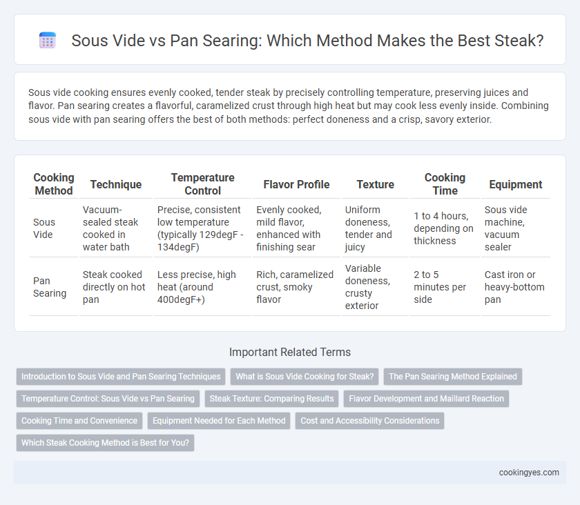 Sous Vide vs Pan Searing: Which Method Makes the Best Steak?