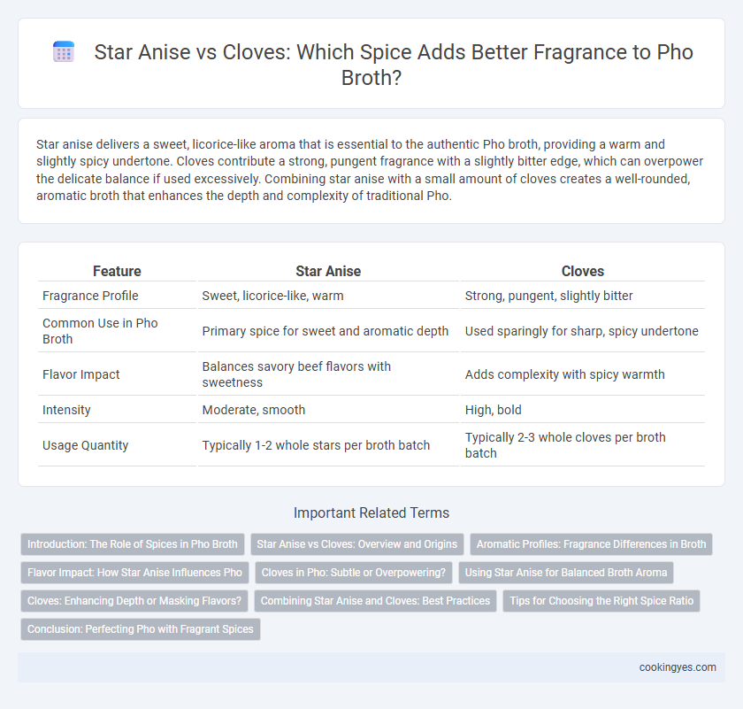 Star Anise vs Cloves: Which Spice Adds Better Fragrance to Pho Broth?