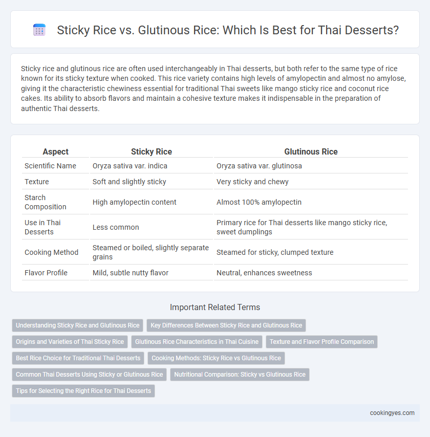 Sticky Rice vs. Glutinous Rice: Which Is Best for Thai Desserts?