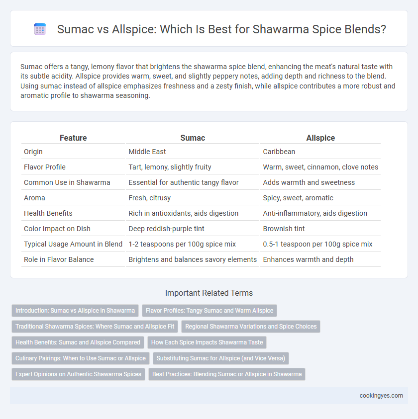 Sumac vs Allspice: Which Is Best for Shawarma Spice Blends?
