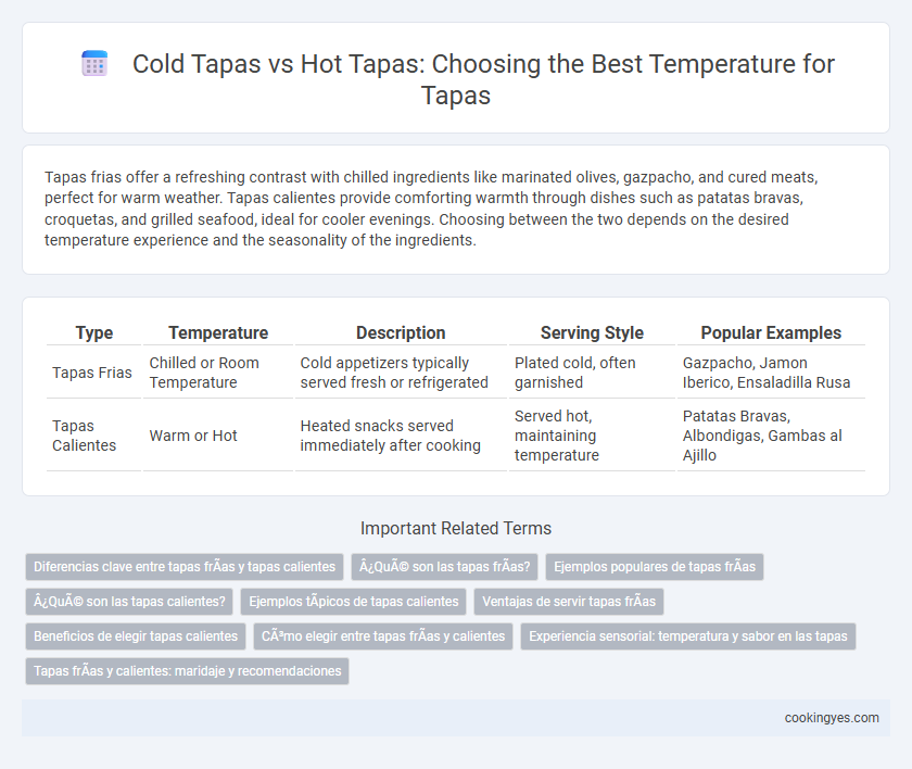 Cold Tapas vs Hot Tapas: Choosing the Best Temperature for Tapas