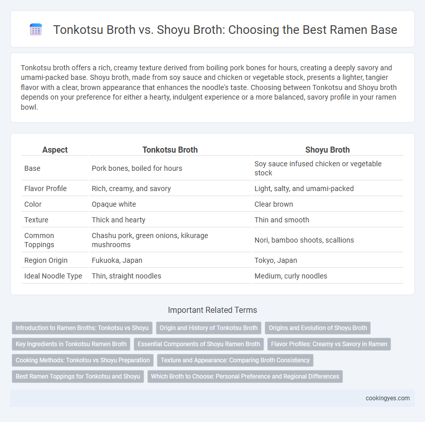 Tonkotsu Broth vs. Shoyu Broth: Choosing the Best Ramen Base