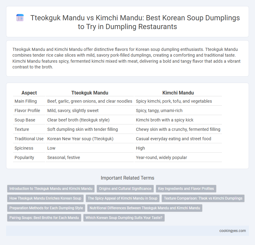 Tteokguk Mandu vs Kimchi Mandu: Best Korean Soup Dumplings to Try in Dumpling Restaurants