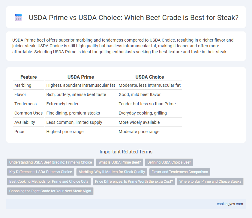 USDA Prime vs USDA Choice: Which Beef Grade is Best for Steak?