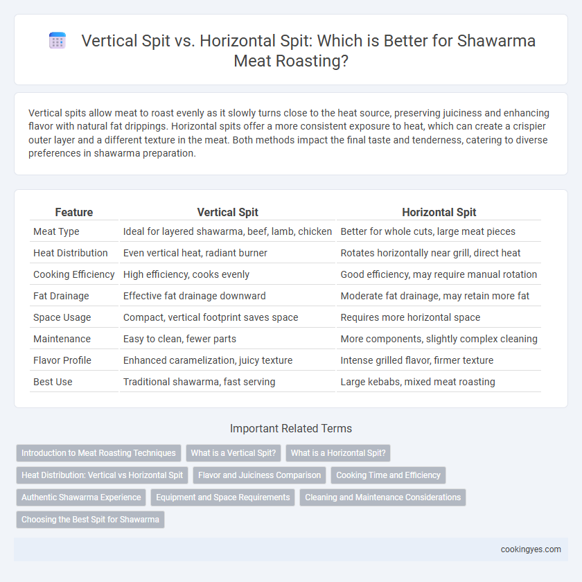 Vertical Spit vs. Horizontal Spit: Which is Better for Shawarma Meat Roasting?