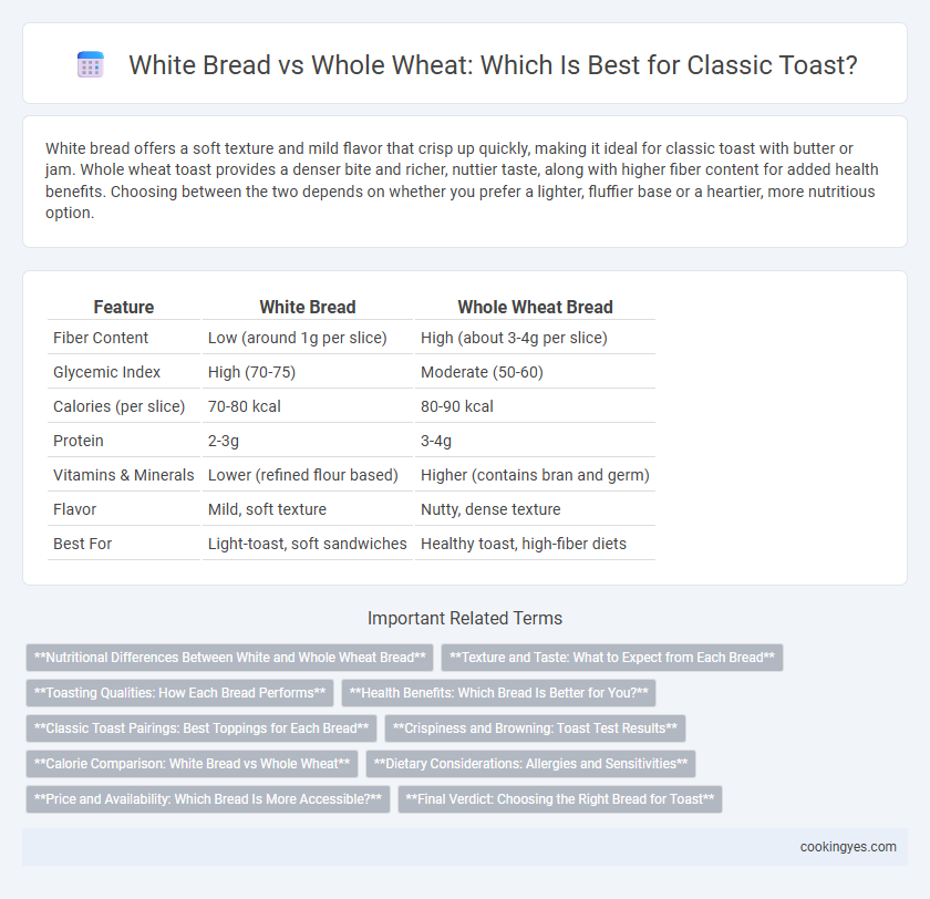 White Bread vs Whole Wheat: Which Is Best for Classic Toast?