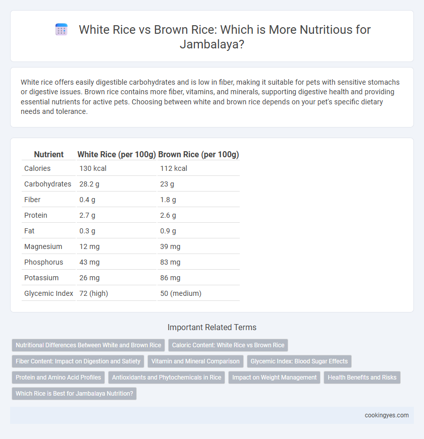 White Rice vs Brown Rice: Which is More Nutritious for Jambalaya?