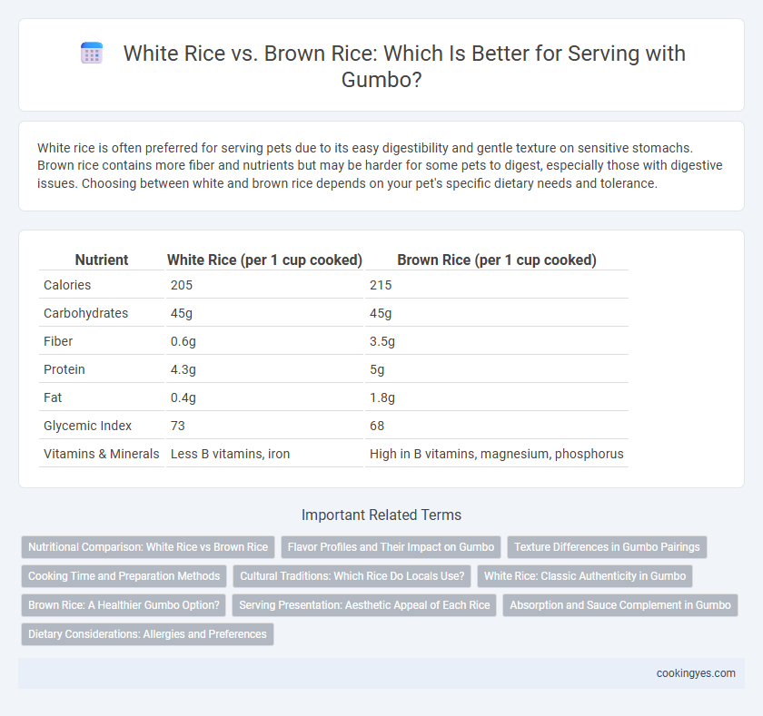 White Rice vs. Brown Rice: Which Is Better for Serving with Gumbo?