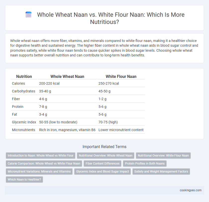 Whole Wheat Naan vs. White Flour Naan: Which Is More Nutritious?