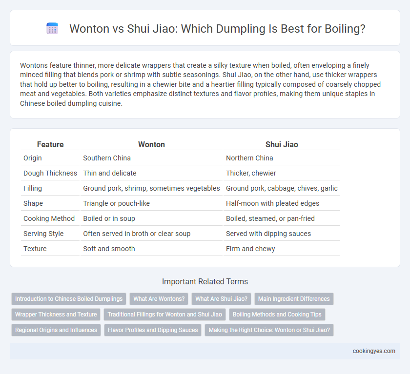 Wonton vs Shui Jiao: Which Dumpling Is Best for Boiling?