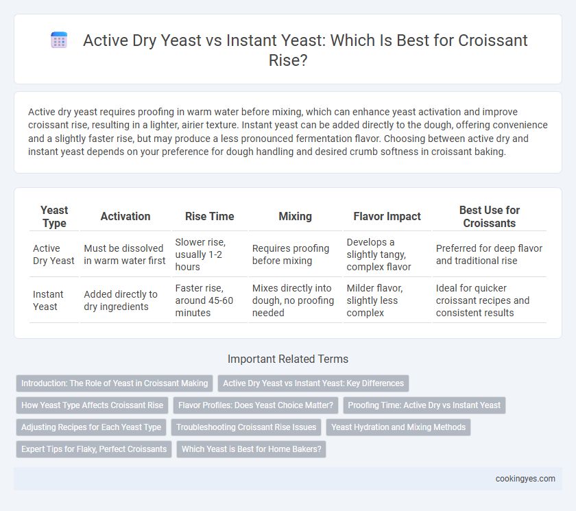Active Dry Yeast vs Instant Yeast: Which Is Best for Croissant Rise?