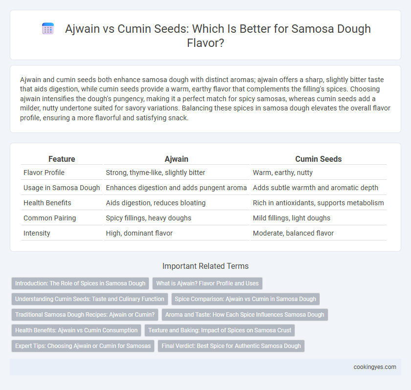 Ajwain vs Cumin Seeds: Which Is Better for Samosa Dough Flavor?