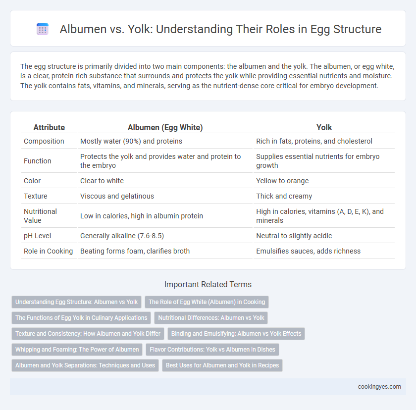 Albumen vs. Yolk: Understanding Their Roles in Egg Structure