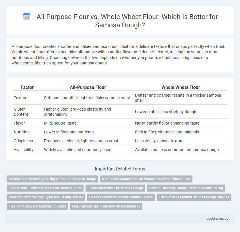 All-Purpose Flour vs. Whole Wheat Flour: Which Is Better for Samosa Dough?