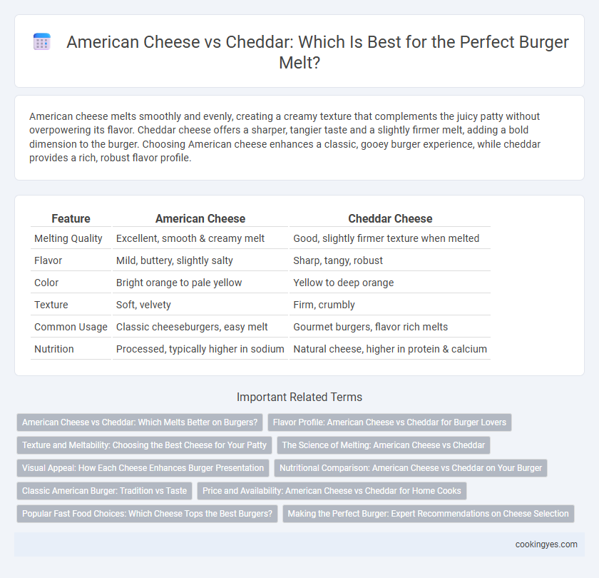 American Cheese vs Cheddar: Which Is Best for the Perfect Burger Melt?