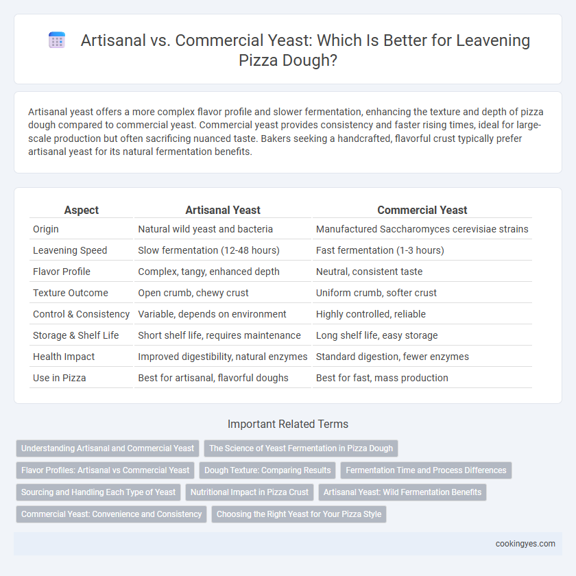 Artisanal vs. Commercial Yeast: Which Is Better for Leavening Pizza Dough?