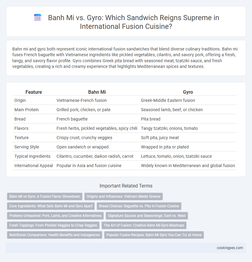 Banh Mi vs. Gyro: Which Sandwich Reigns Supreme in International Fusion Cuisine?