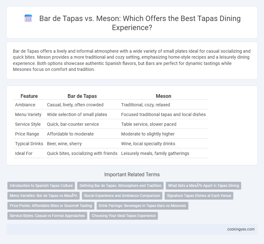 Bar de Tapas vs. Meson: Which Offers the Best Tapas Dining Experience?