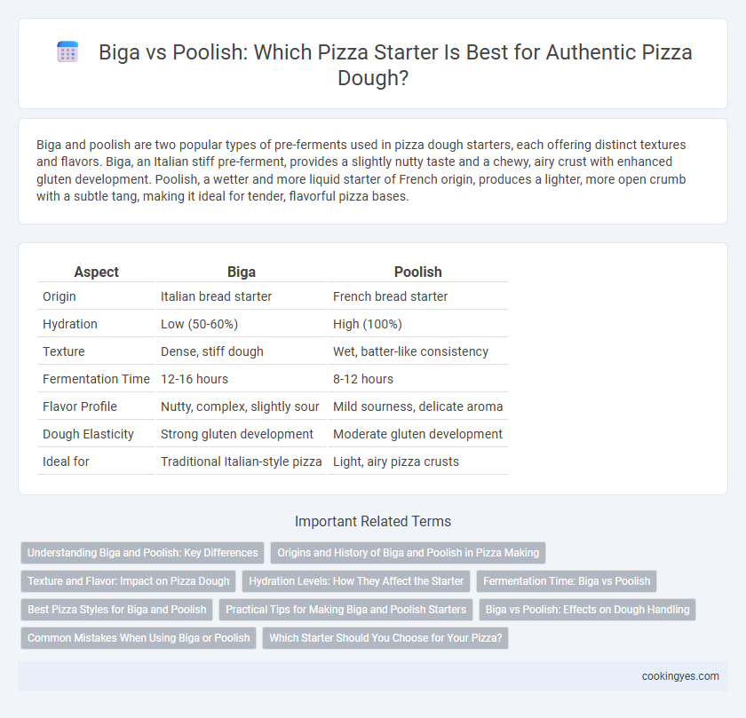 Biga vs Poolish: Which Pizza Starter Is Best for Authentic Pizza Dough?