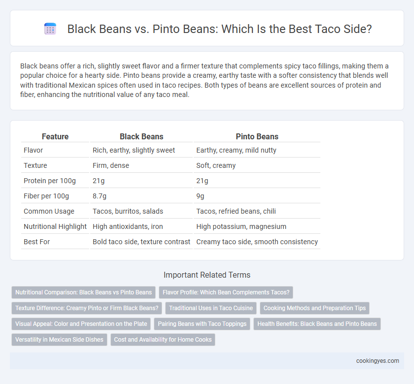 Black Beans vs. Pinto Beans: Which Is the Best Taco Side?