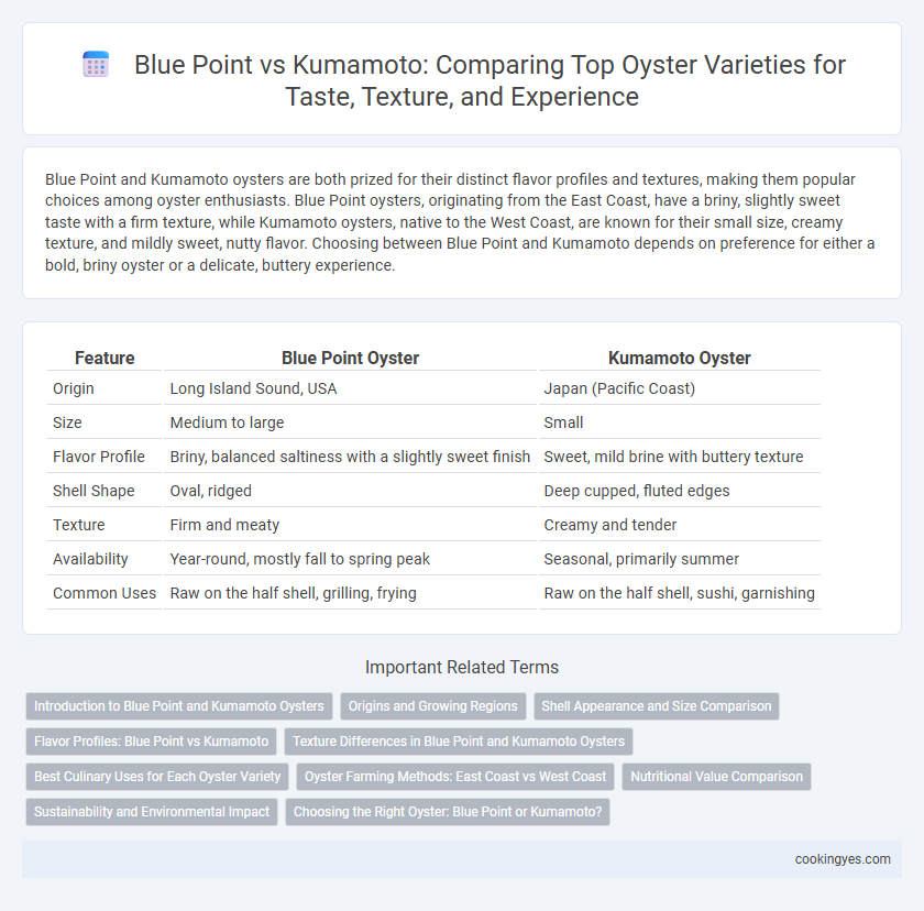 Blue Point vs Kumamoto: Comparing Top Oyster Varieties for Taste, Texture, and Experience