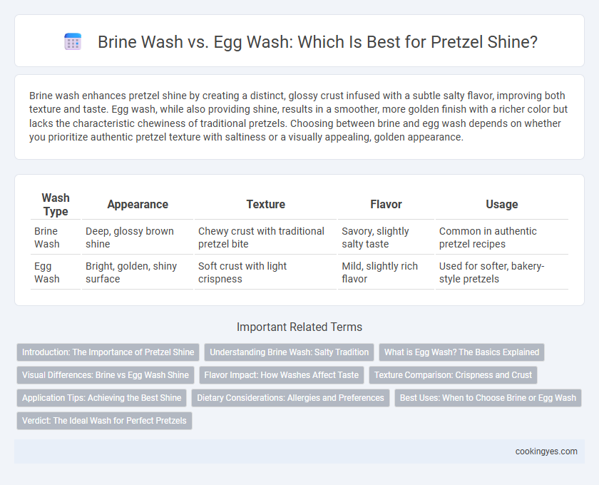 Brine Wash vs. Egg Wash: Which Is Best for Pretzel Shine?