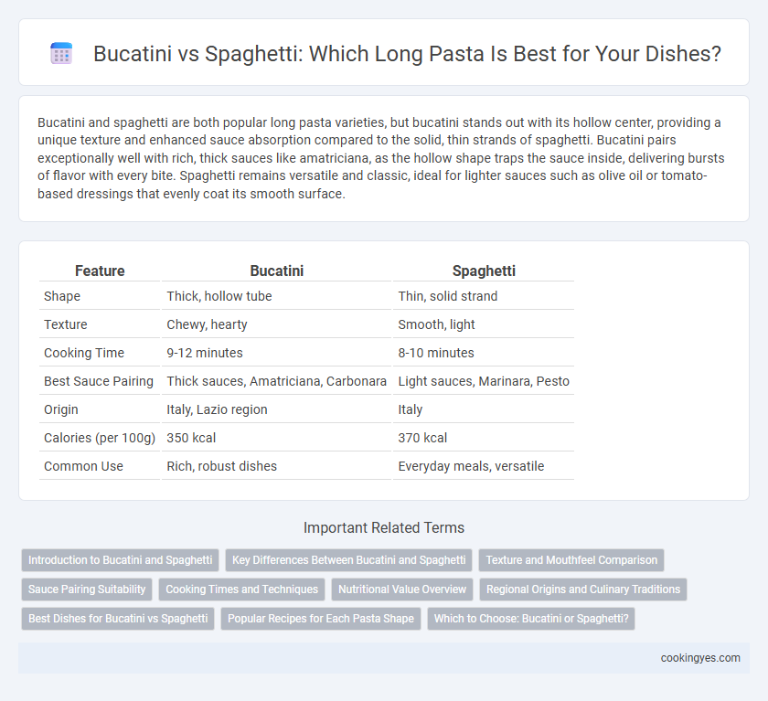Bucatini vs Spaghetti: Which Long Pasta Is Best for Your Dishes?