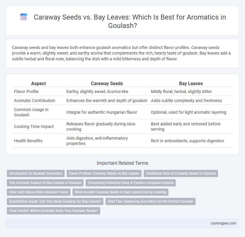 Caraway Seeds vs. Bay Leaves: Which Is Best for Aromatics in Goulash?